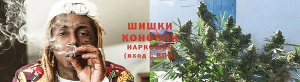 гашиш Богданович